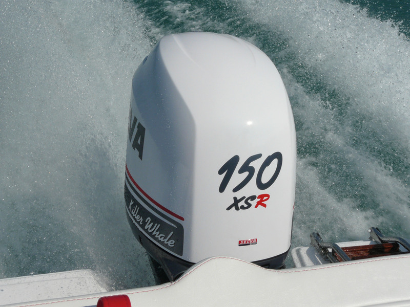 photo essai bateau pneumatique : Comparatif: SELVA 115Swordfish EFI VS 150 Killer Whale EFI