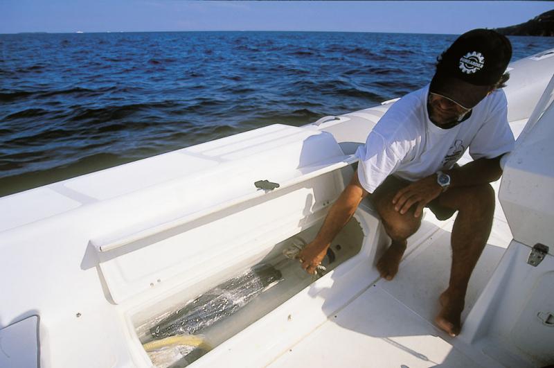 Les coffres latéraux permettent de ranger le matériel de pêche à portée de main.