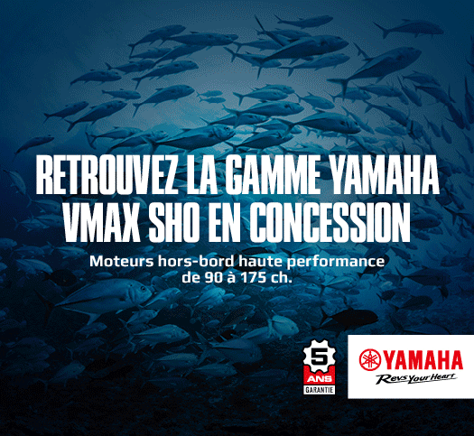Yammar25-525x483-gamme-vmax_sho-2