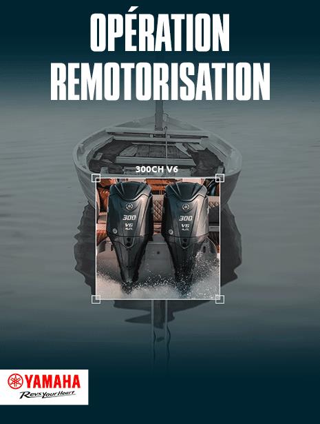 Remotorisation_465x615